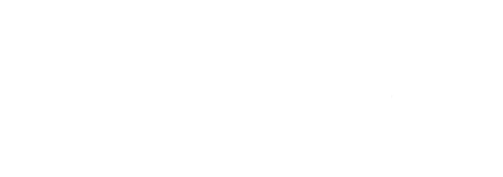 GESTION DE FORTUNE logo 02